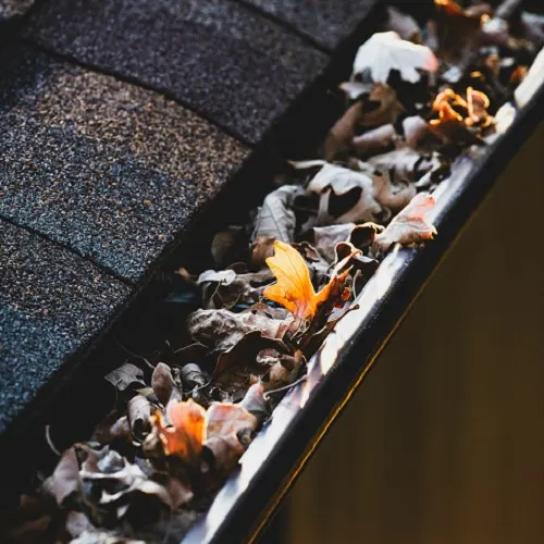 A gutter guard covered with small leaf debris, partially displaced and in need of cleaning and adjustment.
