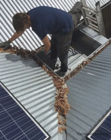 A professional clearing leaves from a gutter located above a metal shed in Green Hills, TN.