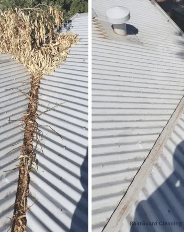 A project photo of a cleaned steel roof gutter in Nashville TN, with all leaves removed.
