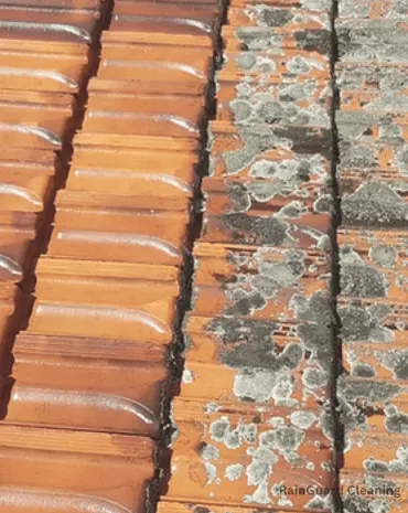 A side-by-side comparison of a roof gutter before and after clearing the downspout, showing restored water flow in Murfreesboro, TN.
